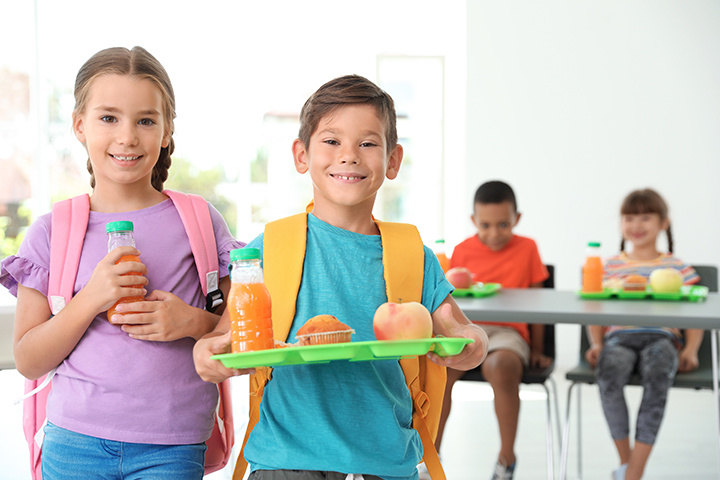 national school lunch program participation